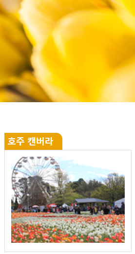 태안 튤립축제