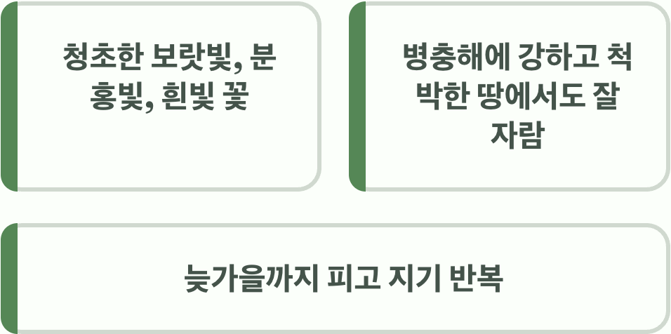 알록달록 물감 팔레트&amp;#44; 아스터