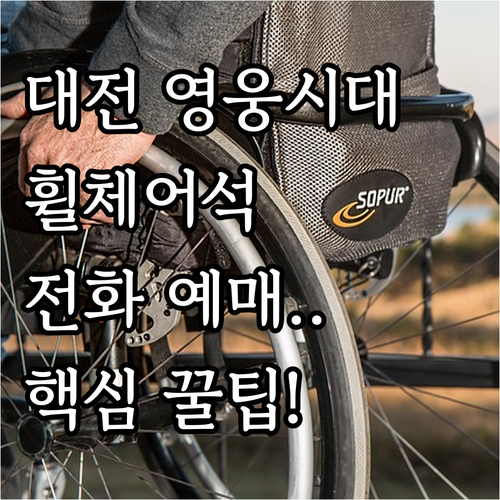 임영웅 대전 공연 휠체어석 전화 예매..