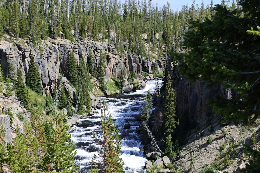 Torrent