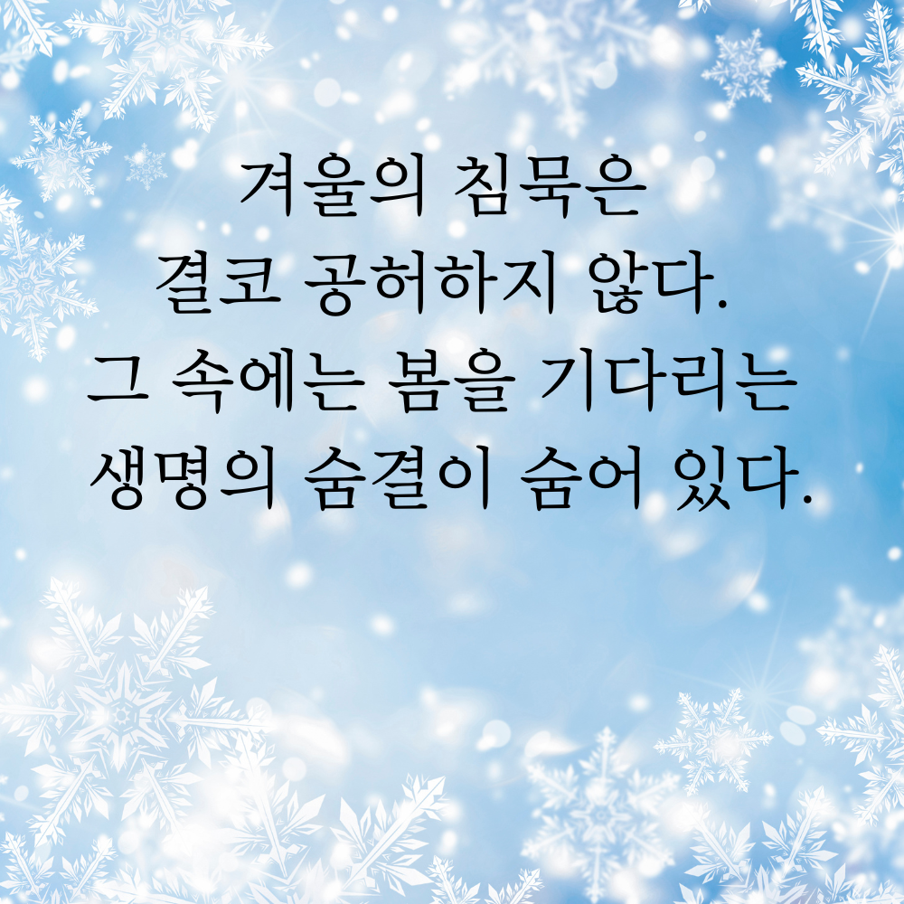 겨울 좋은 글귀 겨울 명언 문구 이미지