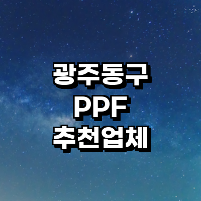 광주 동구 ppf