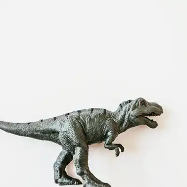 해남 공룡대축제 어린이날