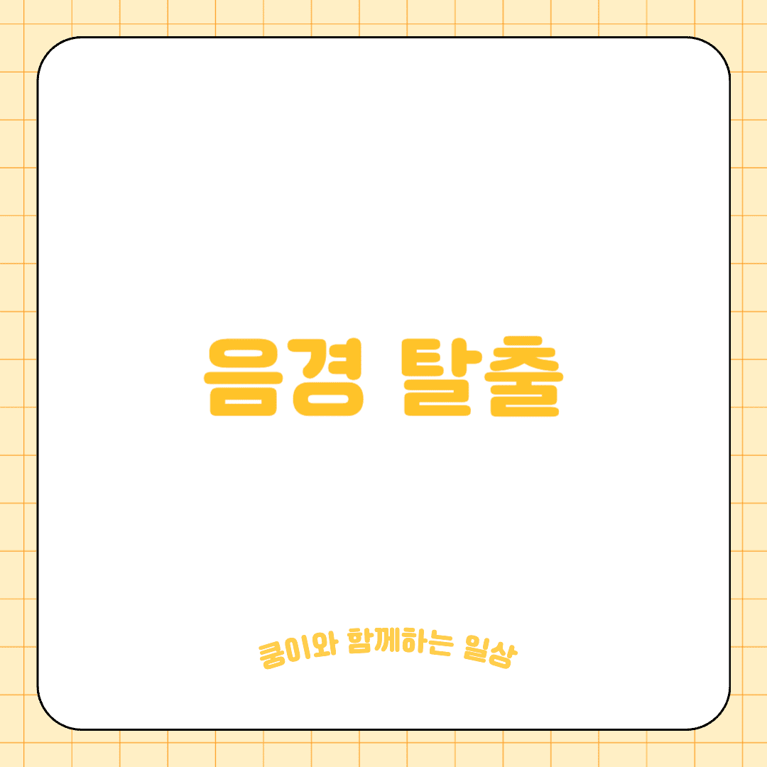 고양이 음경탈출(Penile Prolapse)