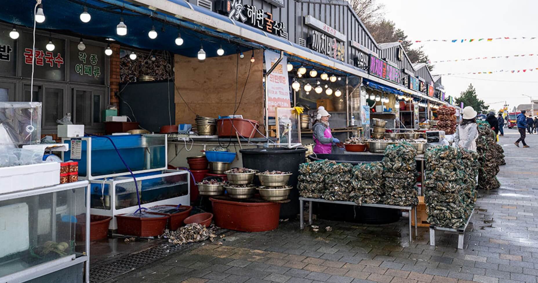 천북 굴단지 맛집