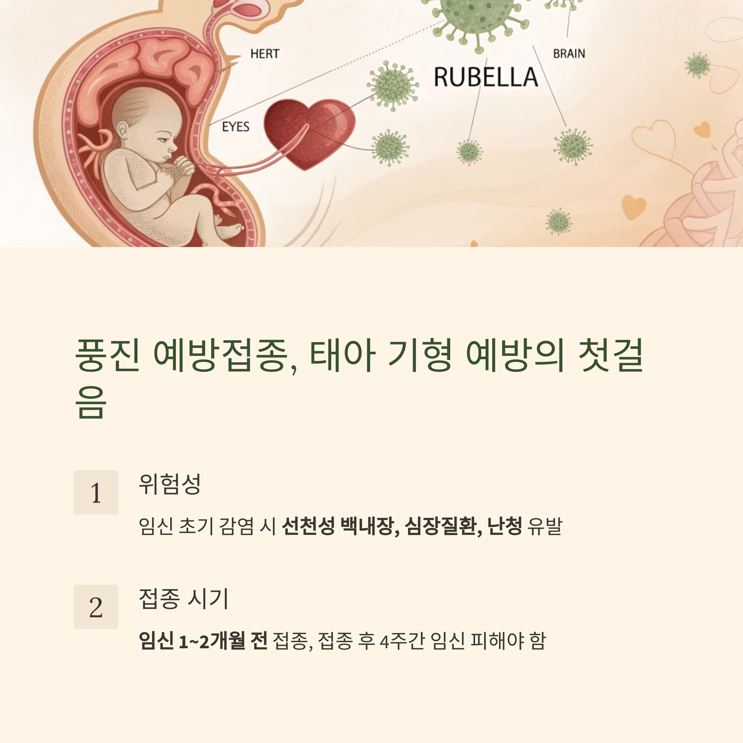 임산부 예방접종 파헤치기! 시기별 필수 백신 총정리-인포그래픽1