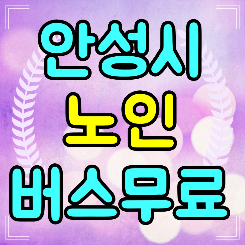안성-경로우대-교통카드