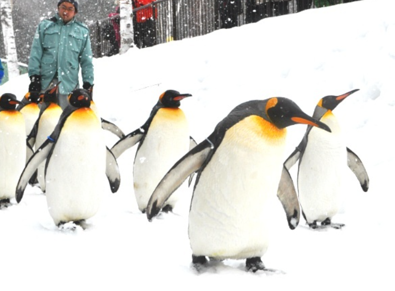 아사히야마 동물원