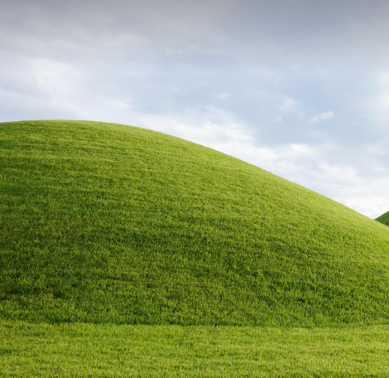 동래 고분 사진