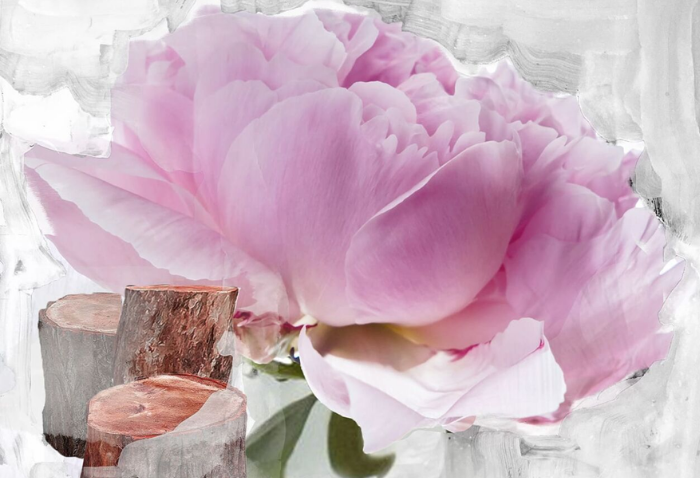 바이레도 블랑쉬 향 이미지