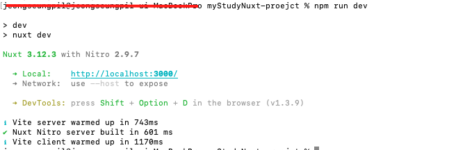 nuxt 실행