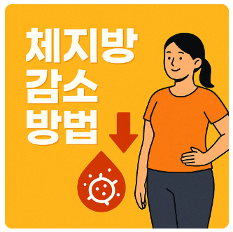 체지방감소방법