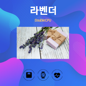 라벤더 알아보기