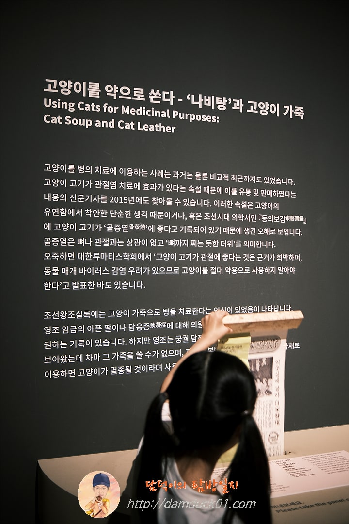 귀엽고 요망한 고양이