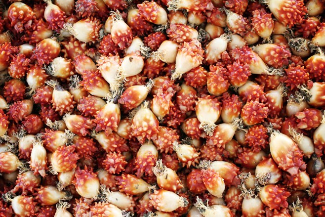 3월 제철음식 총정리