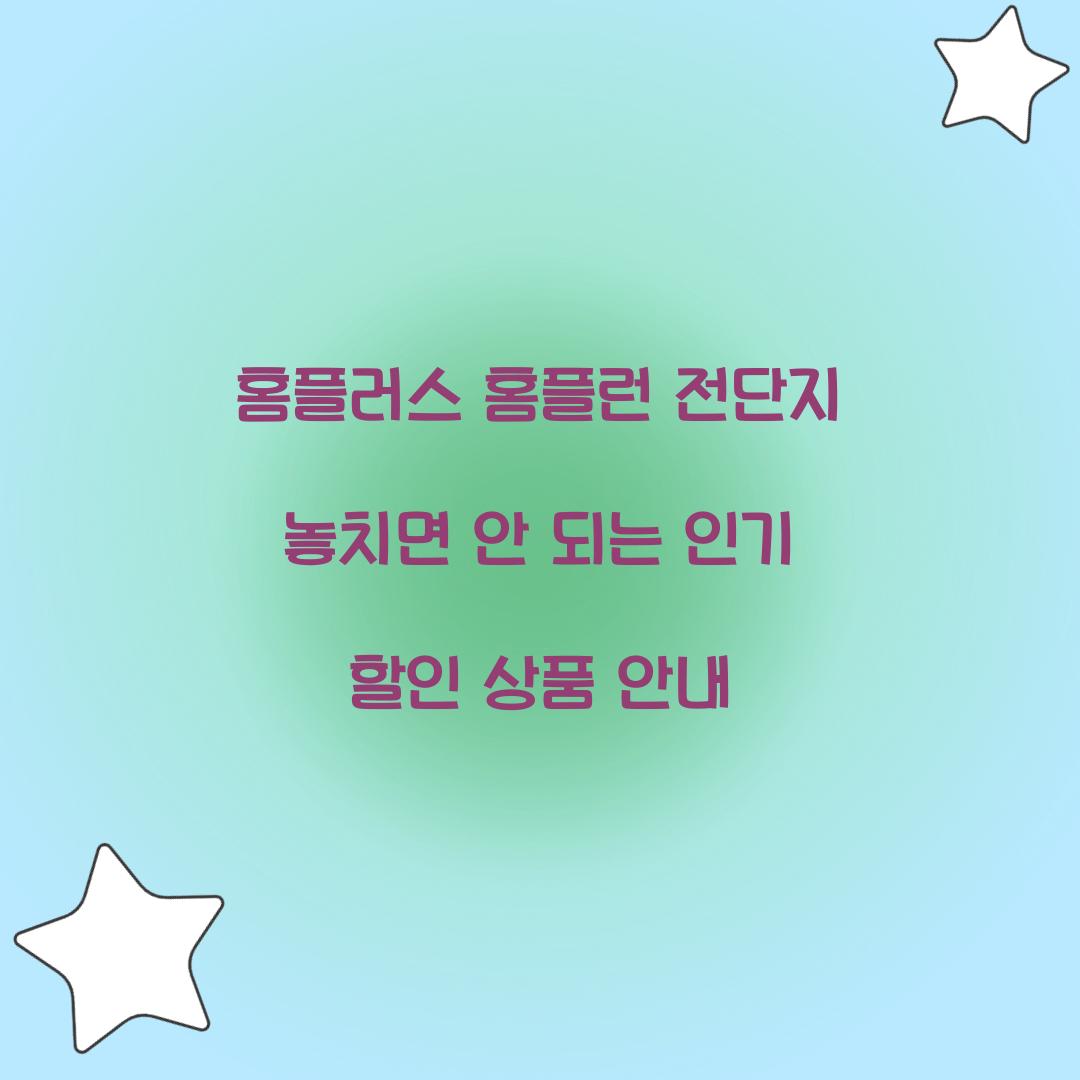 홈플러스 홈플런 전단지