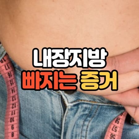 내장지방 빠지는 증거