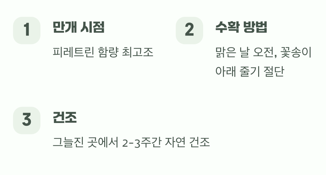 4. 가장 중요한 순간, 꽃의 수확