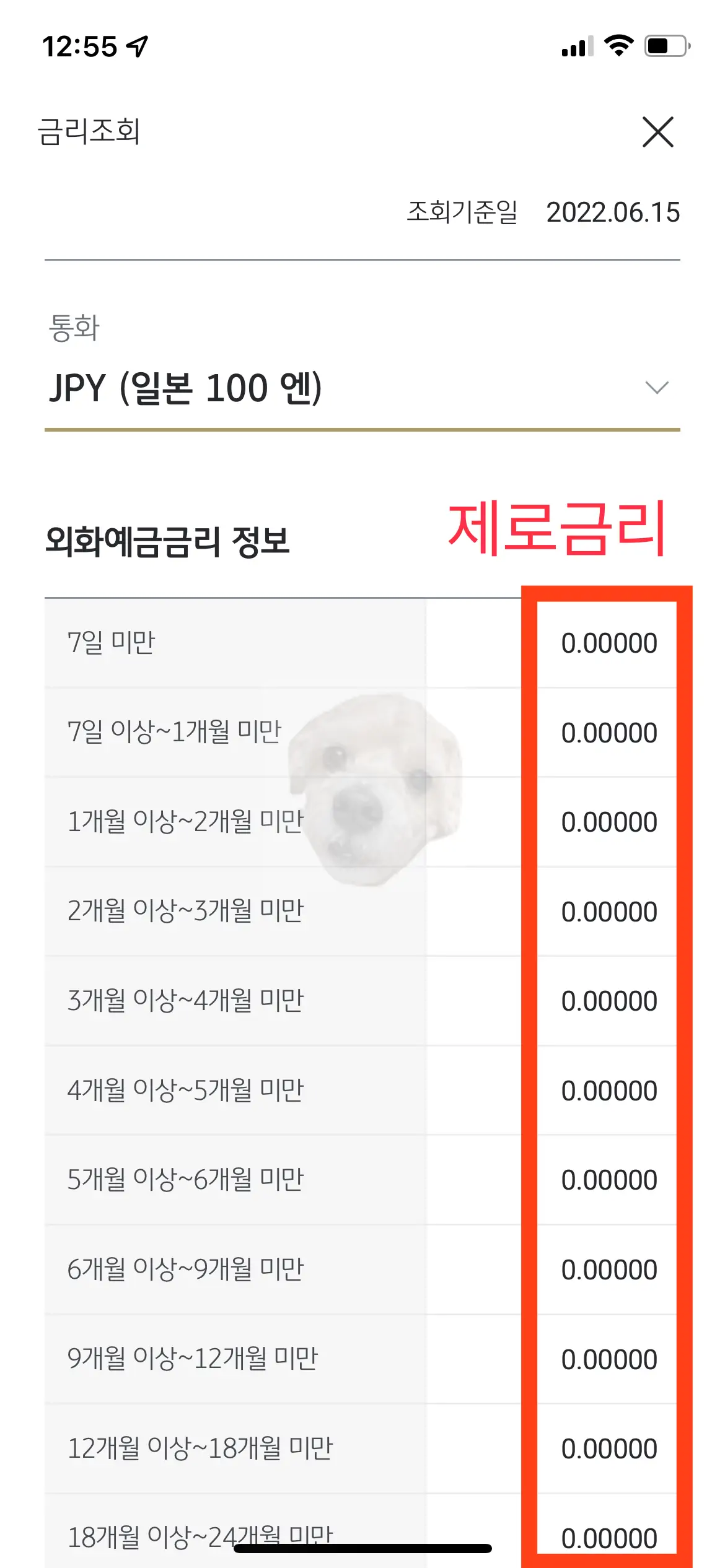 외화 보통예금 가입하는 방법