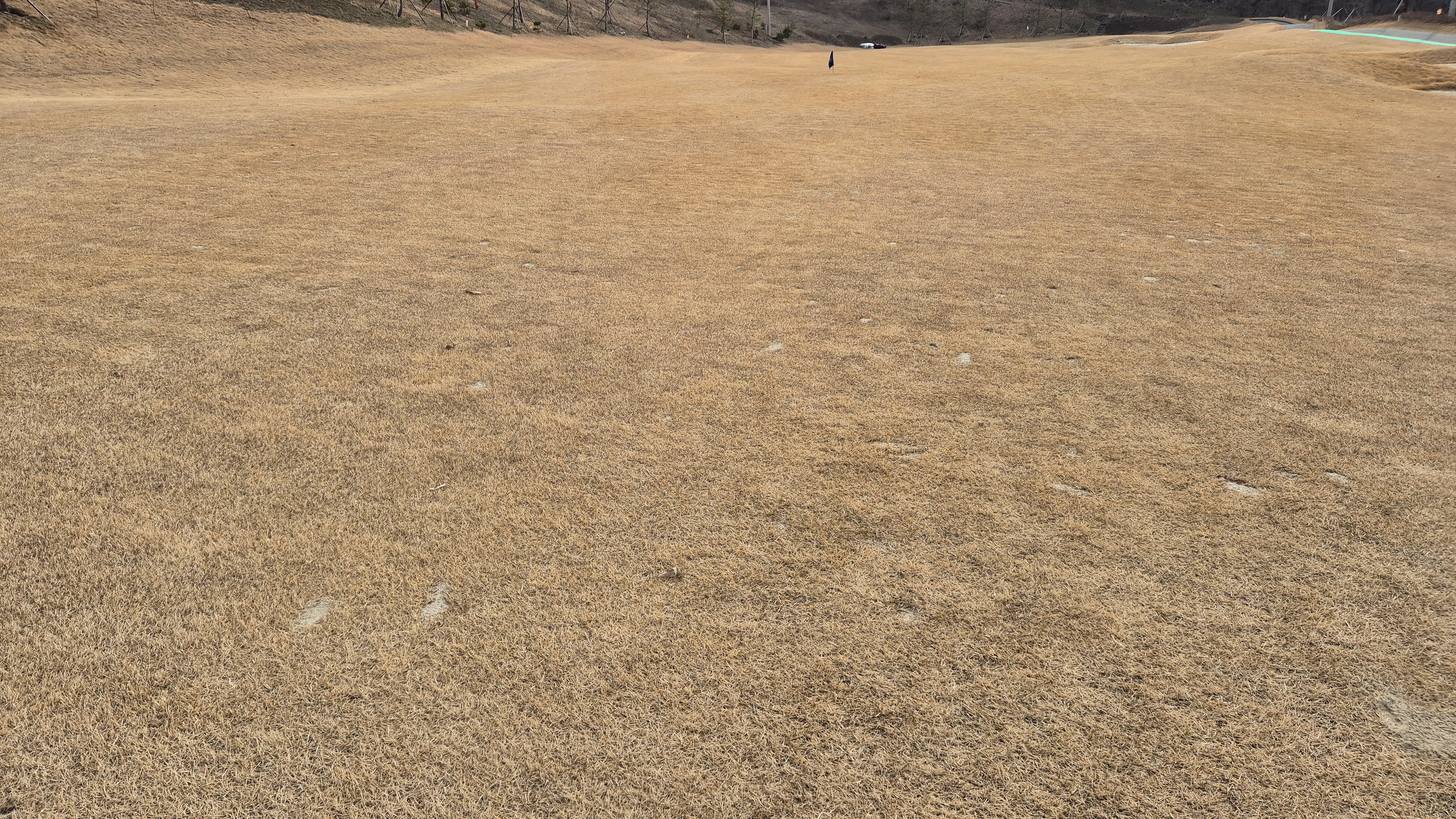 모나크cc 라운드 후기 코스관리상태