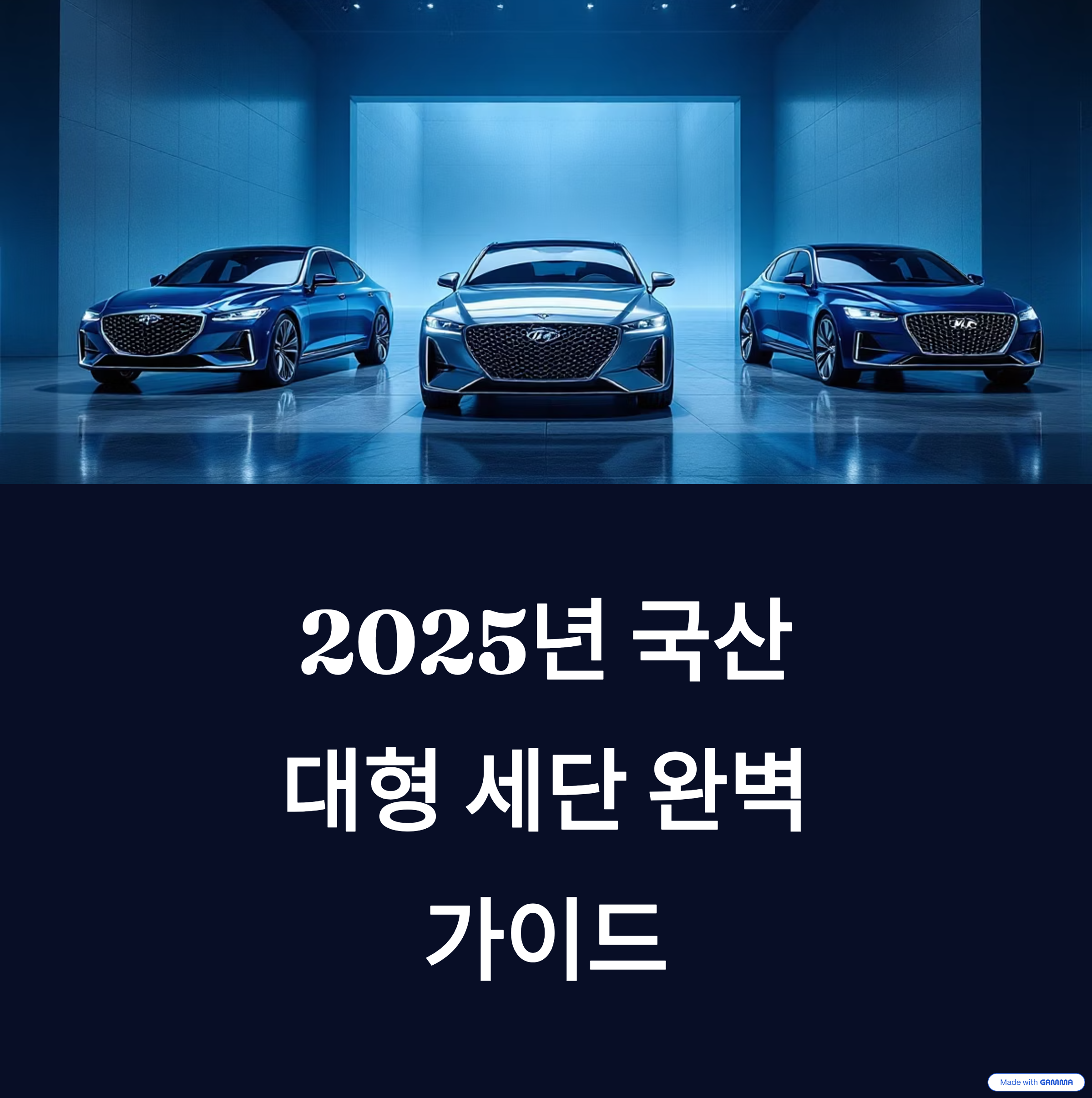 국산 대형 세단
