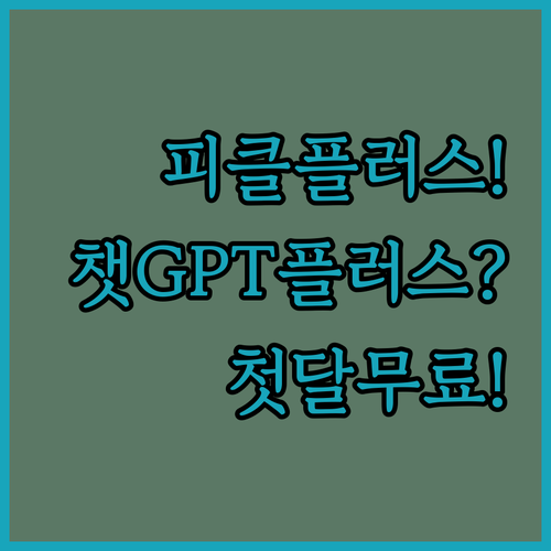피클플러스로 챗GPT 플러스 첫 달 ..