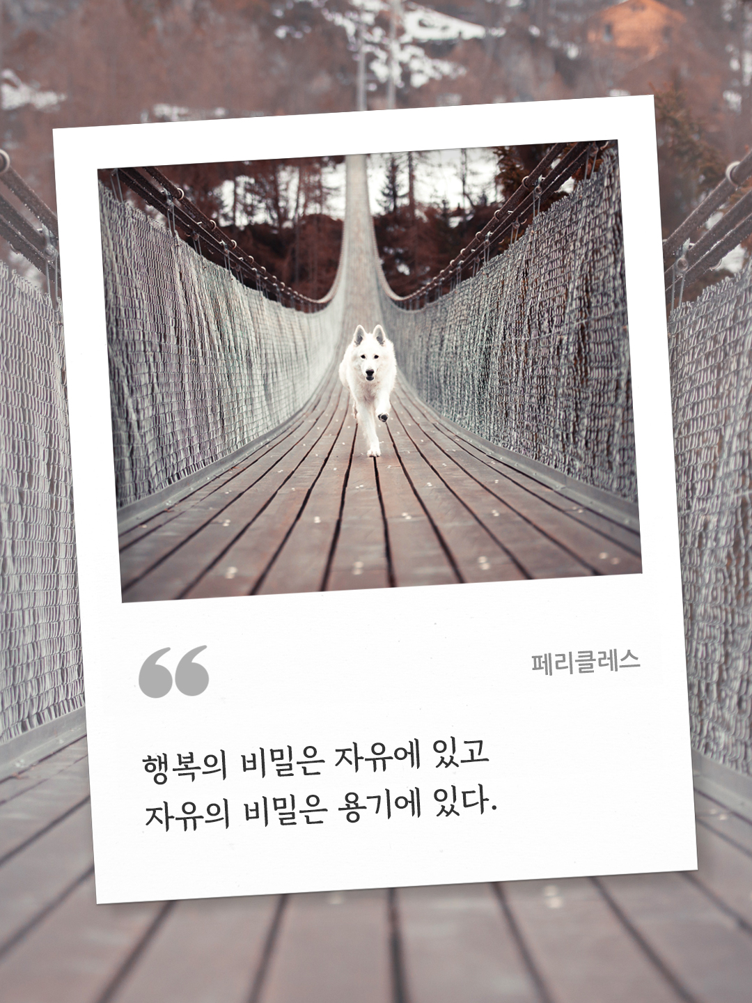 행복의 비밀은 자유에 있고, 자유의 비밀은 용기에 있다 (페리클레스) by 피어나네 오늘의 명언 좋은 글귀 이미지 다운로드