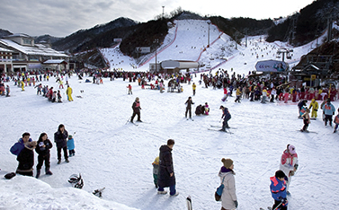 전국 스키장 개장일