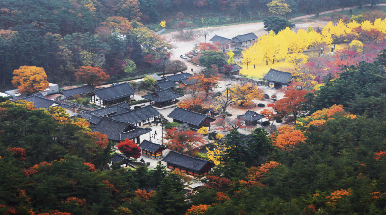 10월 가을여행 단풍 별보기 기차여행 추천