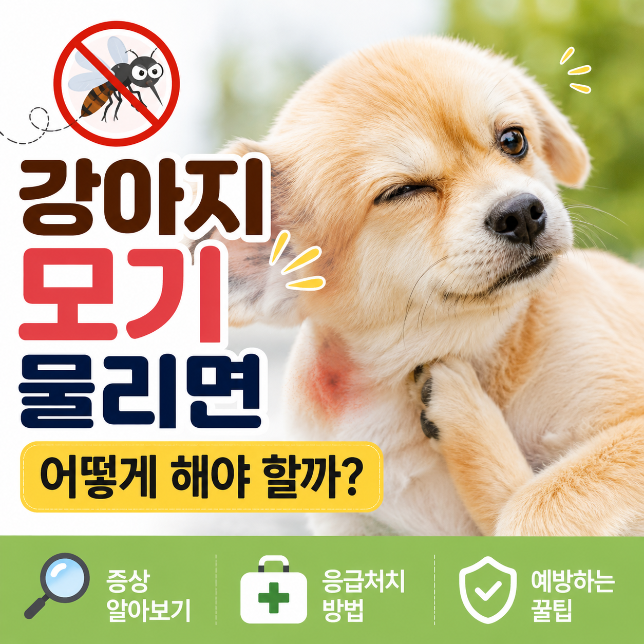 강아지 모기 물리면 어떻게 해야 할까?|증상부터 응급처치, 예방법까지