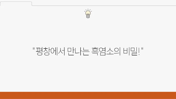 실제 나나랜드 방문 시 경험할 수 있는 모습