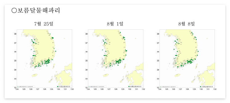 보름달물해파리 출현지역