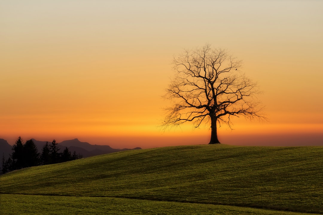solitude