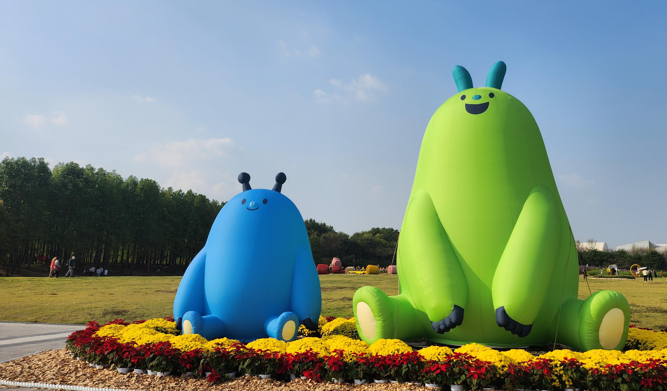 드림파크국화축제