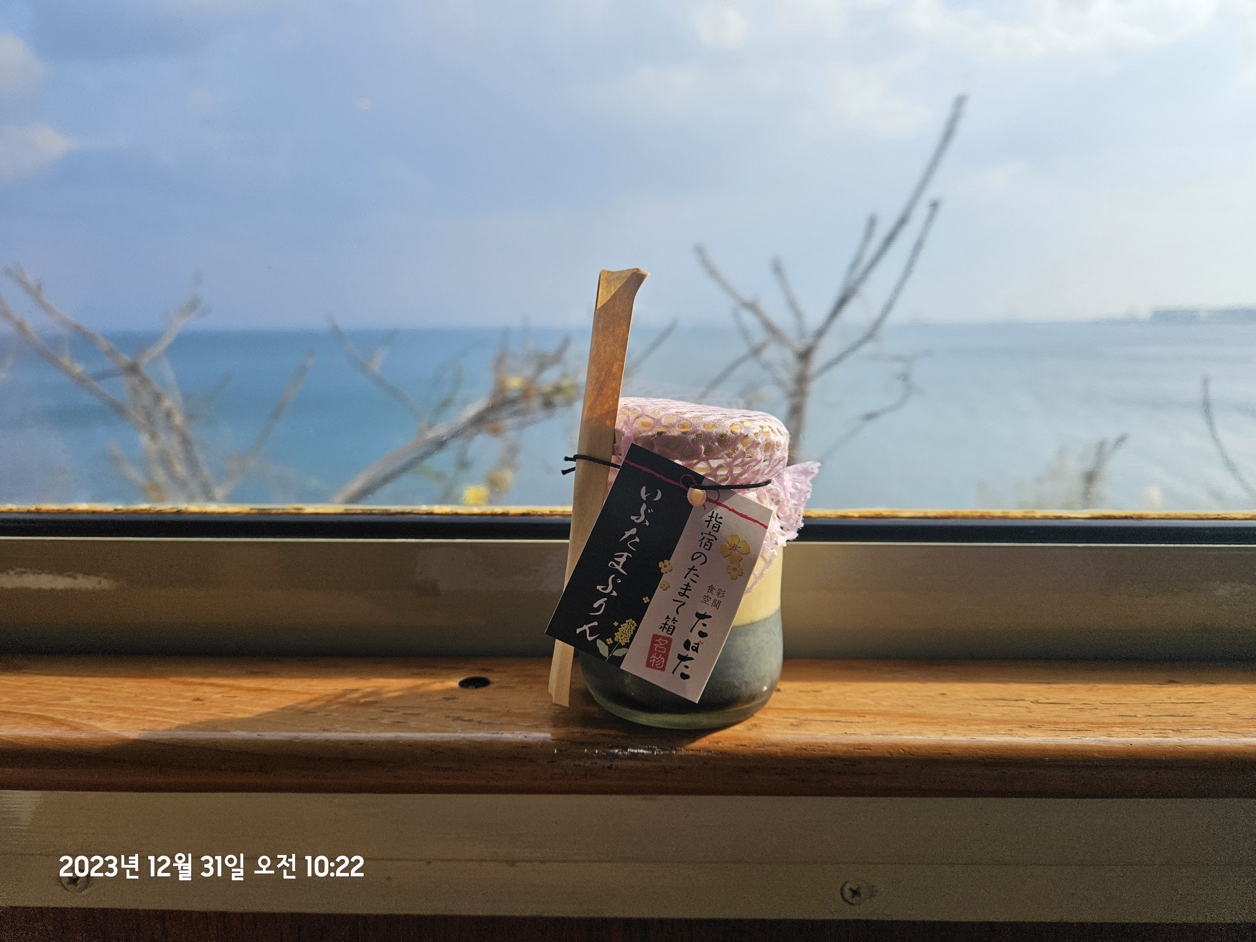 이부스키노 타마테바코 관광열차