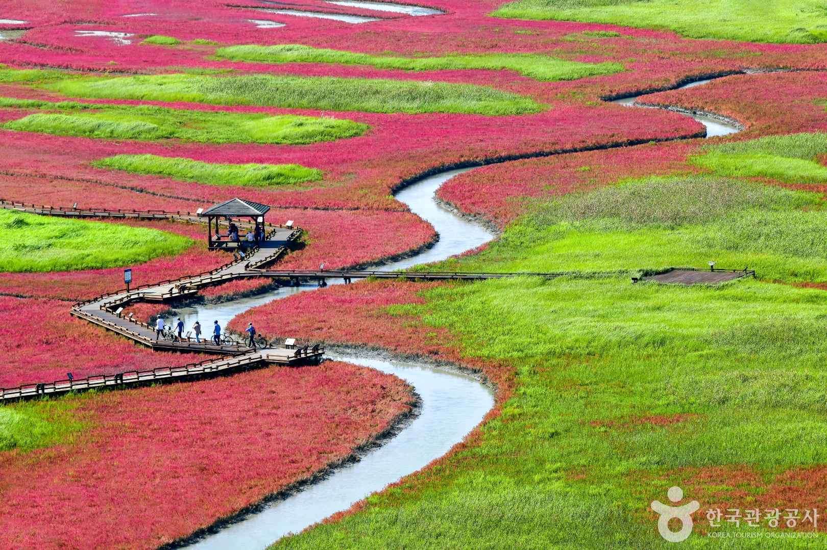 신안 태평염생식물원