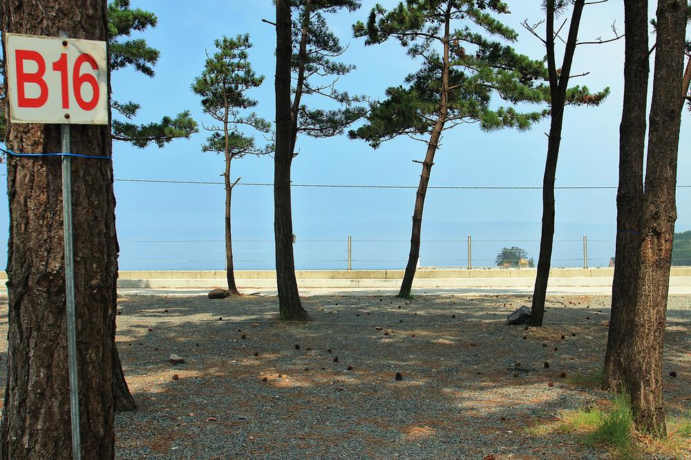 태안군 어은돌 송림캠핑장 소개