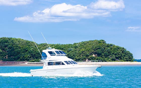 [5월~6월 축제]2025 화성 뱃놀이 축제❘기간, 일정, 프로그램 및 공연 사전 예약 방법