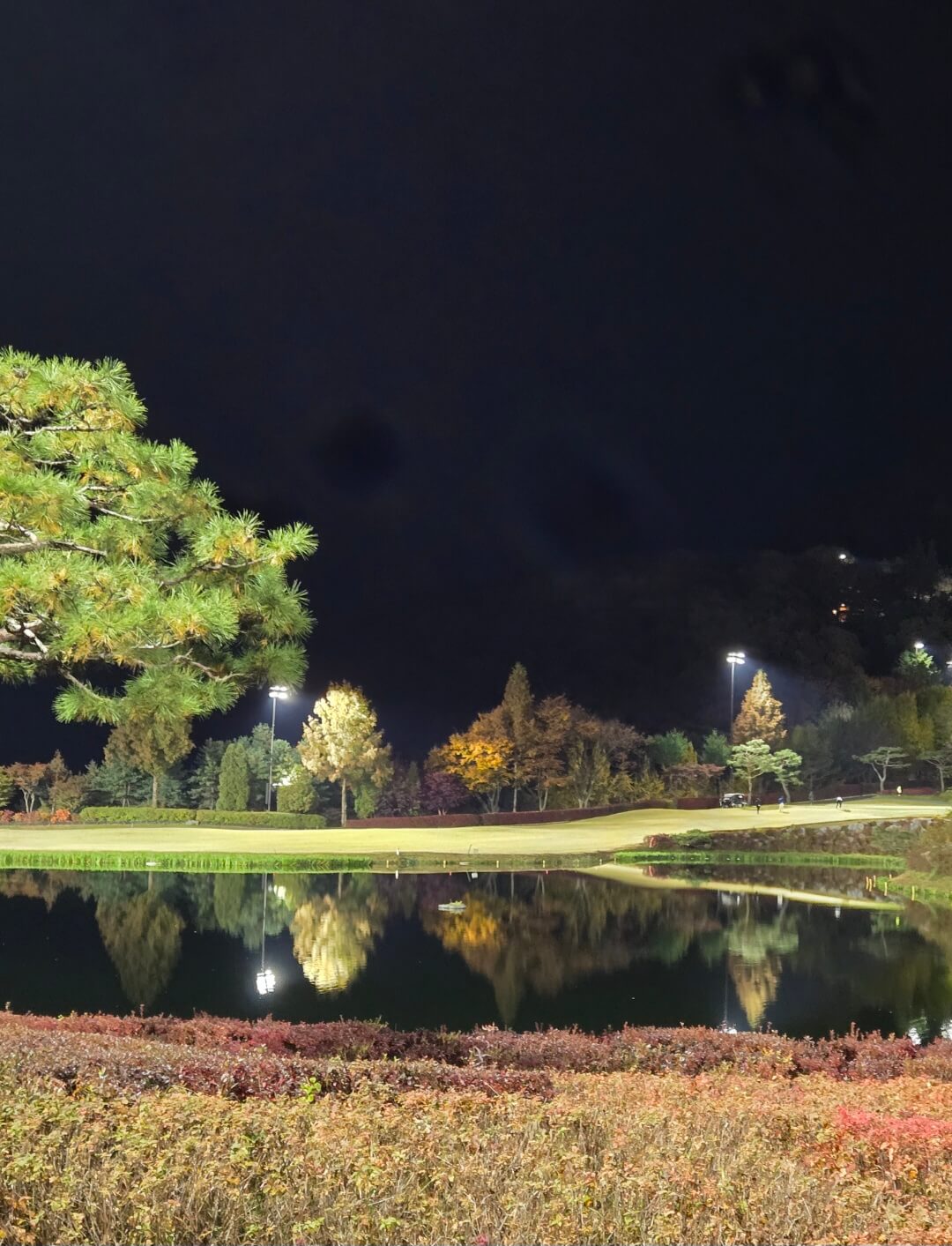 야간의 호수에 비친 나무들
