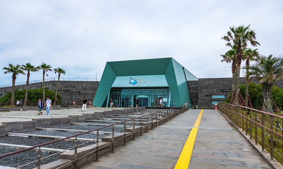 제주 동쪽 가볼만한곳 (아쿠아플라넷 제주)