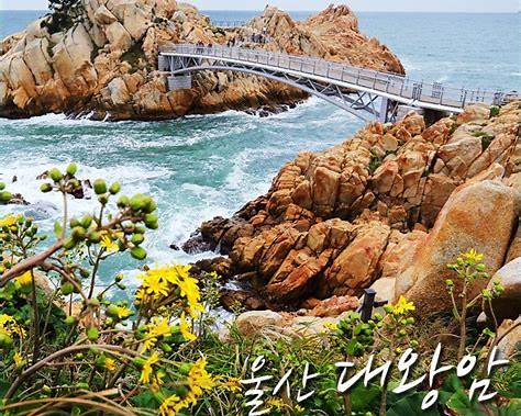울산 대왕암공원에서 즐기는 가을 여행 가을 명소