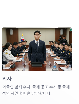 경찰공무원 하는 일, 외사