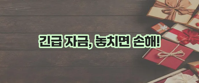 서민금융진흥원 소액생계비 대출 저신용자 100만원 꼭 확인하세요!