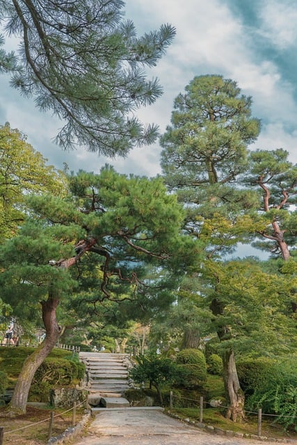 일본 가나자와 정원 풍경