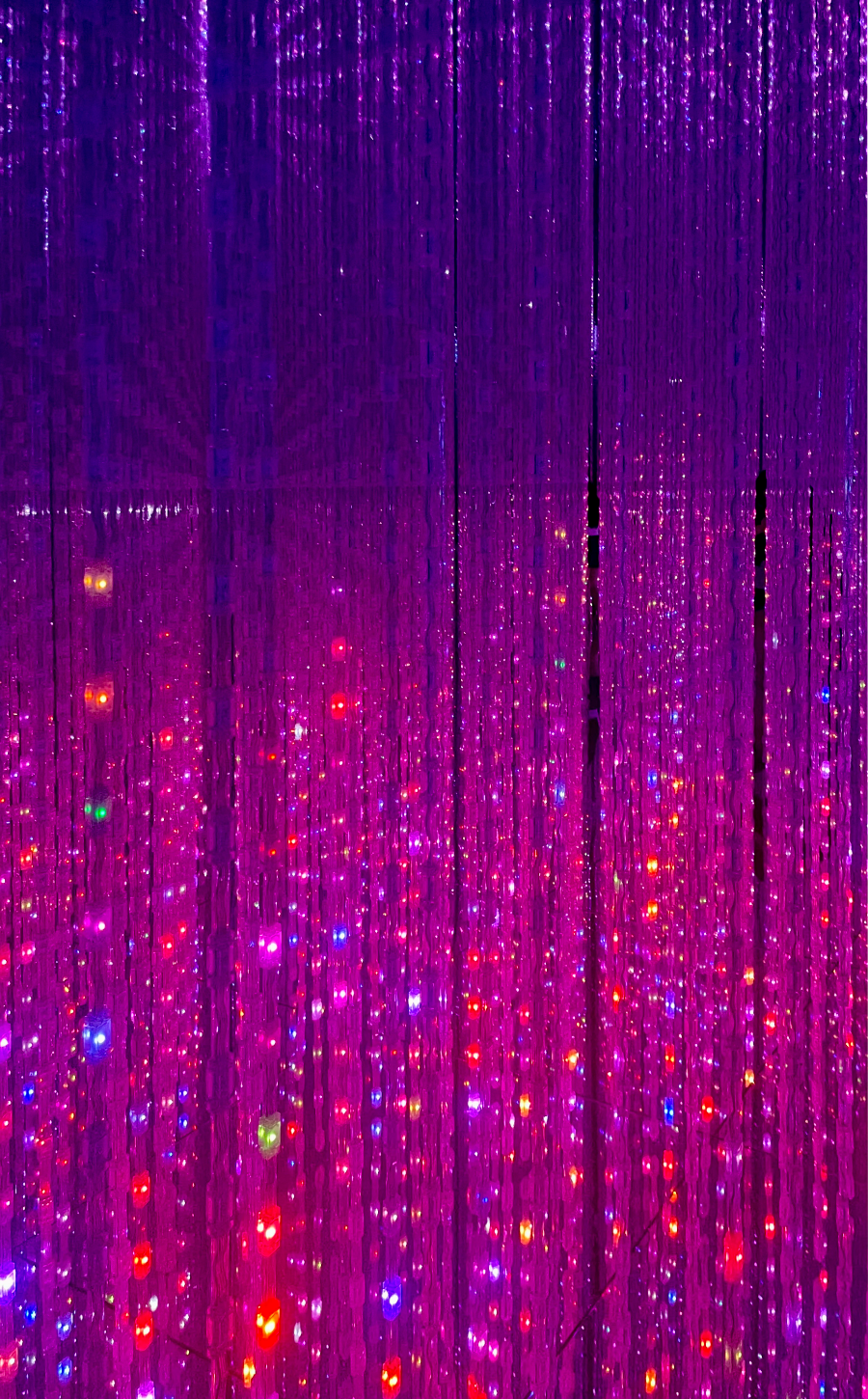 일본 도쿄 팀랩 플래닛 여행-생명은 결정화된 덧없는 빛