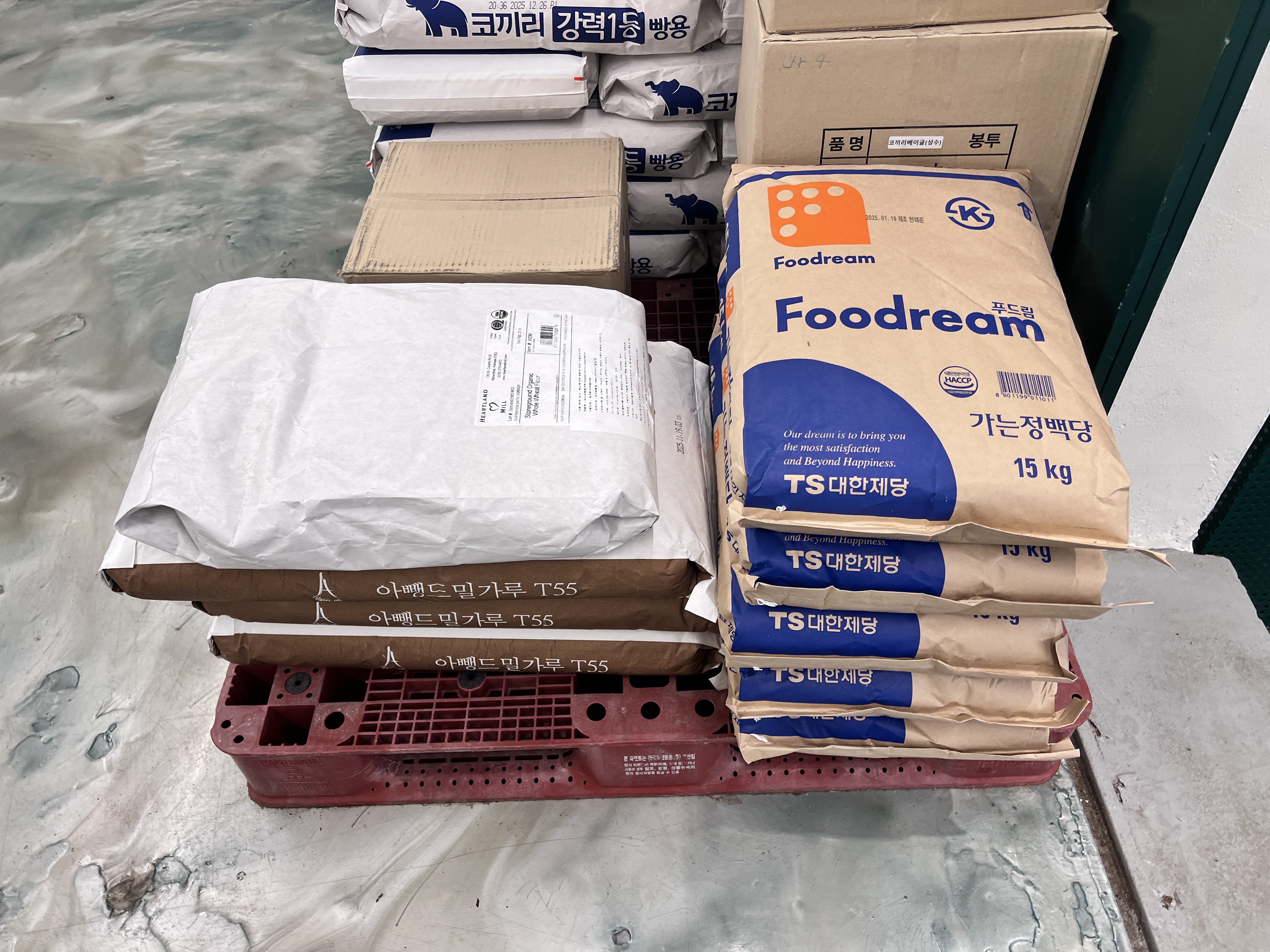 코끼리베이글 성수