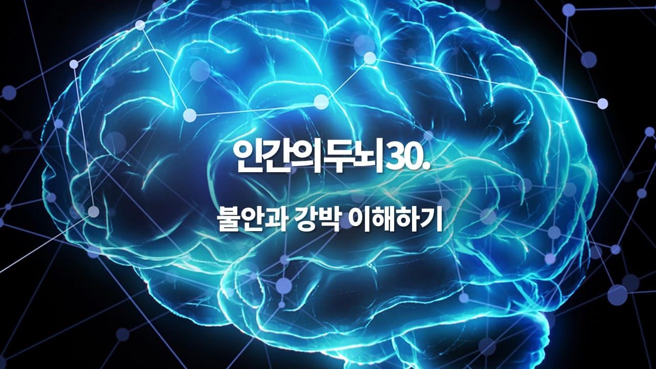 인간의 두뇌 30. 현대인의 마음 속 폭풍: 불안과 강박 이해하기