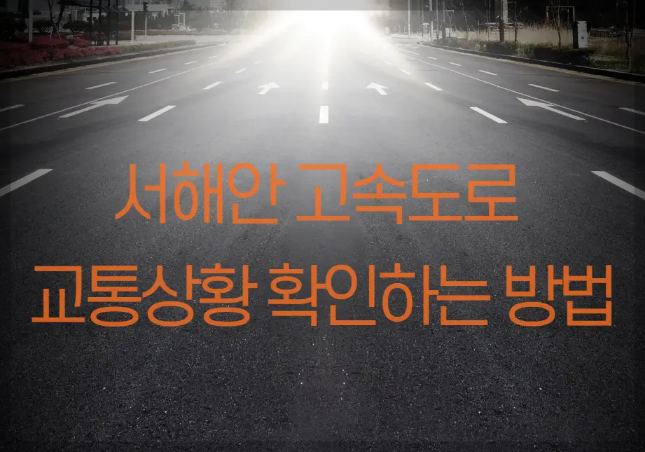 서해안 고속도로 교통상황