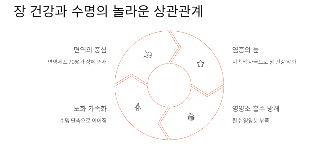 장 건강과 수명의 놀라운 상관관계