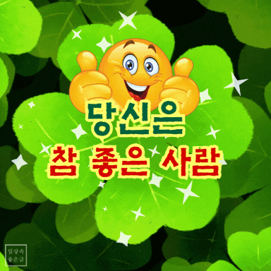 6월 안부 인사말 네잎크로버 행운 이미지
